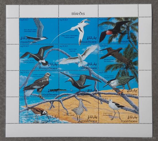 1998  Птицы Мальдив