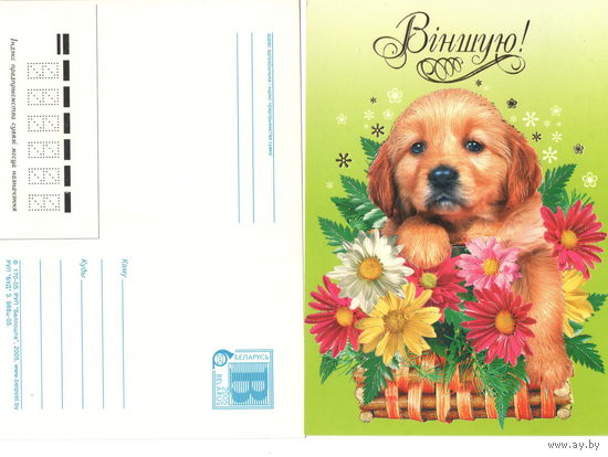 Маркированная почтовая карточка с литерой В "Вiншую", 2005 , чистая