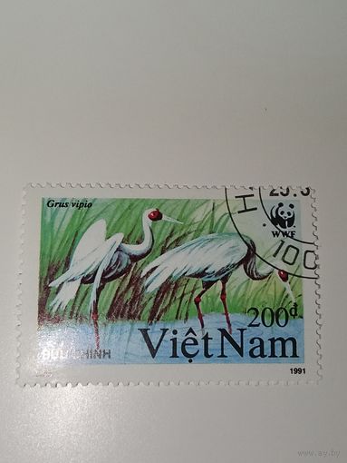 Вьетнам 1991 год. Птицы