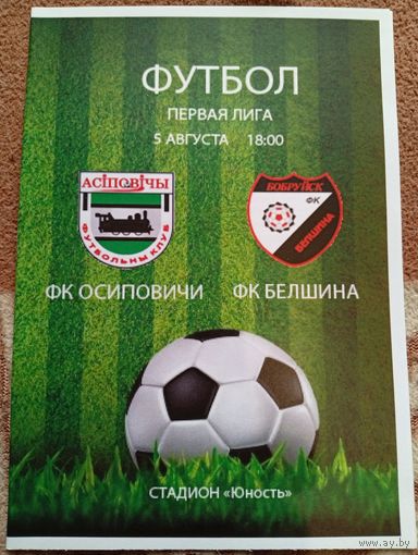 Осиповичи -Белшина ( Бобруйск)5.08.2017г.