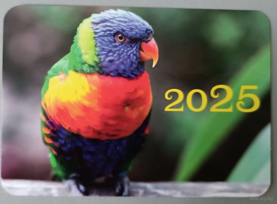 Попугай. Календарик, 2025, глянец