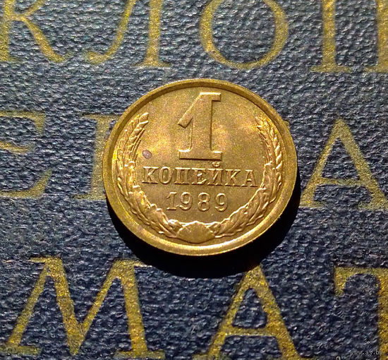 1 копейка 1989 СССР #24