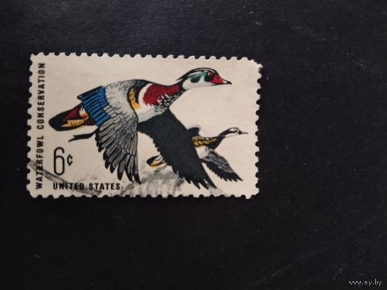 США  1968  утки