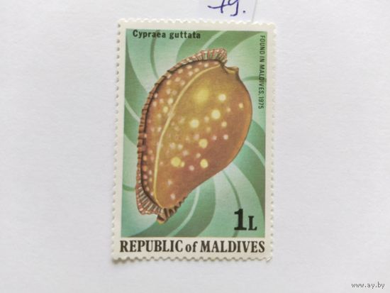 Мальдивы  1979  ракушки