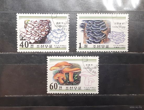 Корея. 1999 год. Флора. Грибы (977)