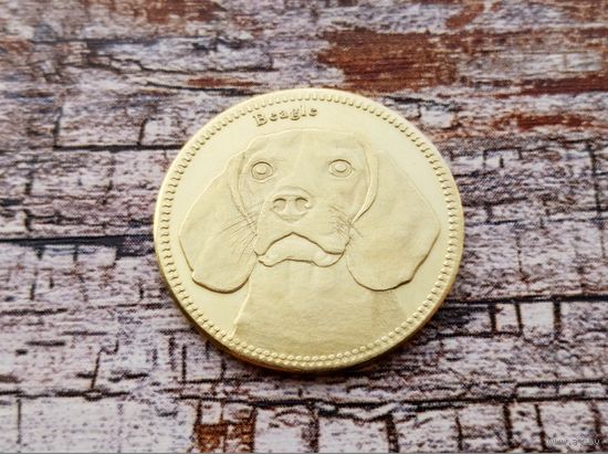 Сомалиленд. 5 шиллингов 2019 - Бигль (Beagle, собаки).