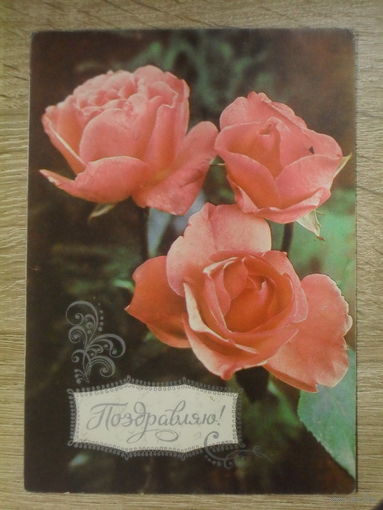 ПОДПИСАННАЯ ОТКРЫТКА СССР. "ПОЗДРАВЛЯЮ". ФОТО. Г. КОСТЕНКО. 1978 ГОД.