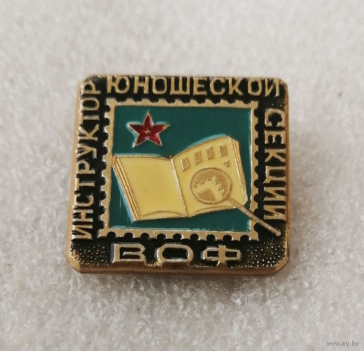 Инструктор юношеских секций ВОФ. Всесоюзное Общество Филателистов #0919-OP18