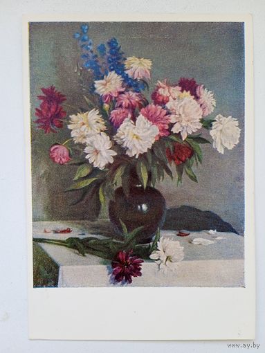 1953. Щербаков. Пионы