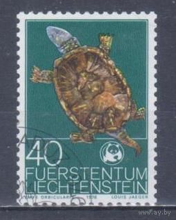 [2400] Лихтенштейн 1976. Фауна.Черепаха. Гашеная марка.