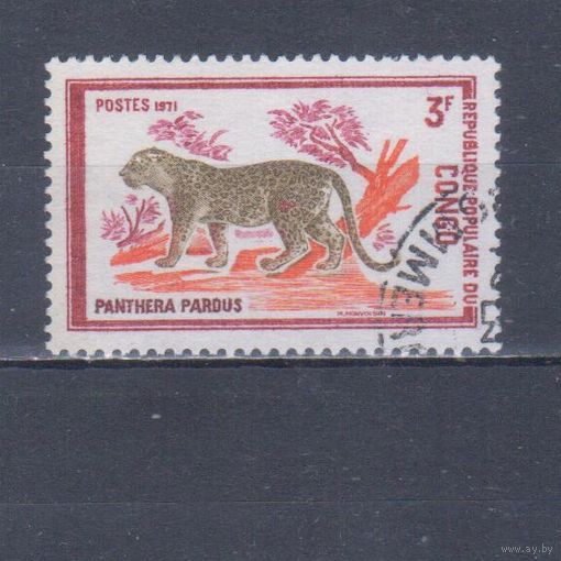 [2173] Конго 1972. Фауна.Дикие кошки.Леопард. Гашеная марка.