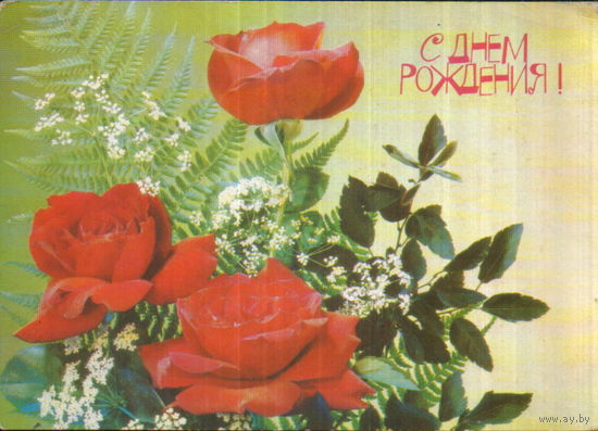 Чистая открытка 1991г. "С днем рождения! Розы" фото Н. Дергилев