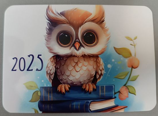 Сова. Календарик, 2025, глянец