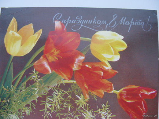 8 Марта 1984г.