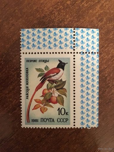 СССР 1982. Райская мухоловка