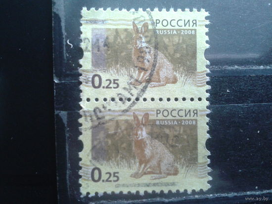Россия 2008 Стандарт, заяц, пара 25 коп
