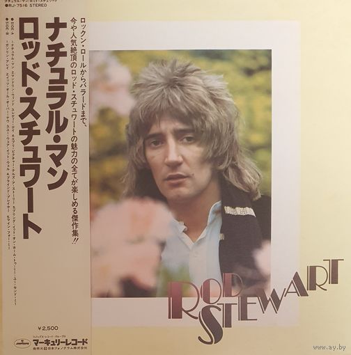 Rod Stewart. A natural Man