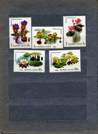 СССР, 1984, ВОДНЫЕ РАСТЕНИЯ**  Серия 5м  чистая