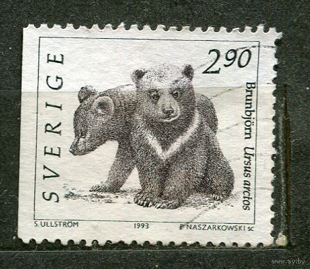 Дикие животные. Медведи. Швеция. 1993