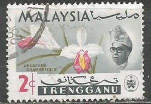 Тренгану. Орхидея Арундина. 1965г. Mi#88.