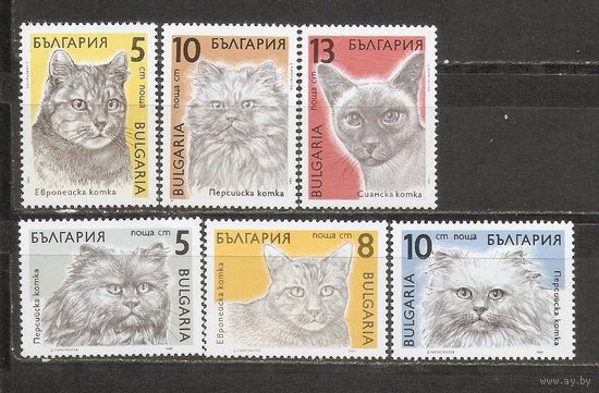 КГ Болгария 1989 Кошки