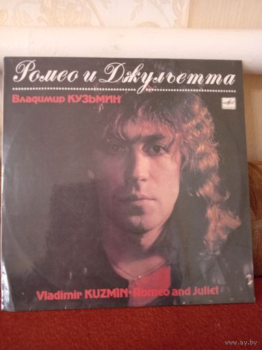 Виниловая пластинка