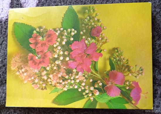 Поздравляю!