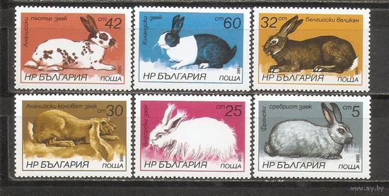 ФФ2 Болгария 1986 Кролики