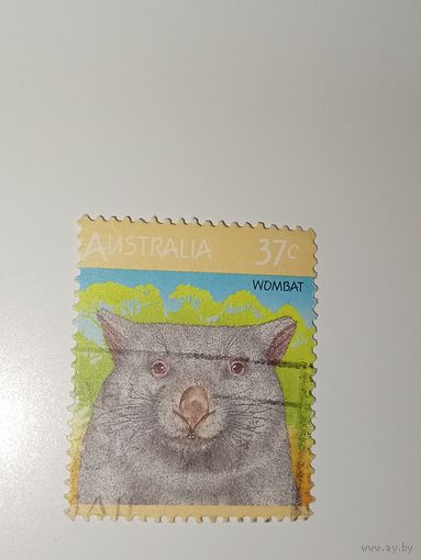 Австралия год 1987.  с изображением Вомбат