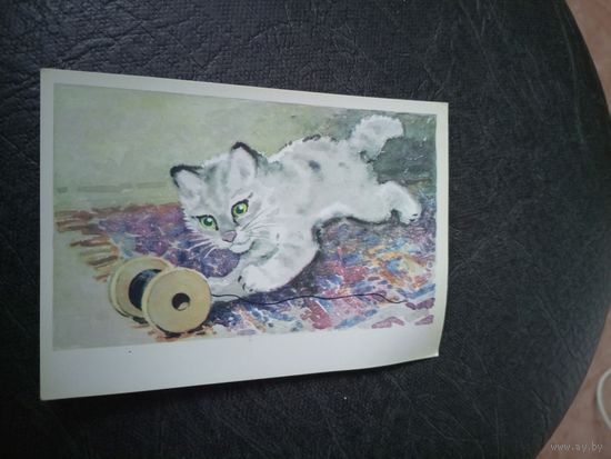 Открытка