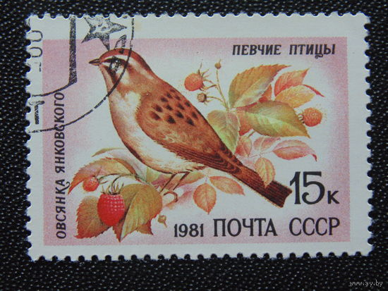 СССР 1981 г. Овсянка.
