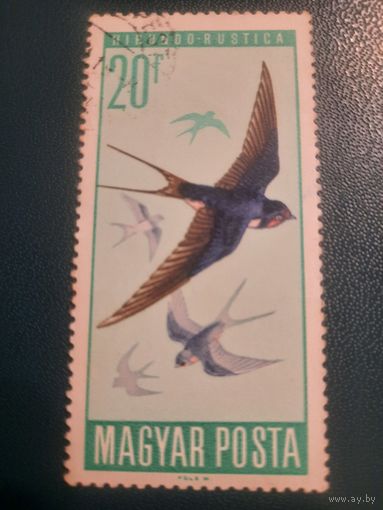 Венгрия 1966. Фауна. Птицы. Ласточка. Марка из серии