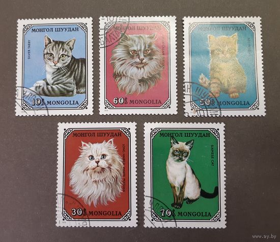 Марки. Монголия. 1979 год. КОШКИ. Фауна (5 марок из набора, неполная серия)