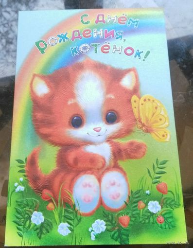 С днём рождения,котёнок