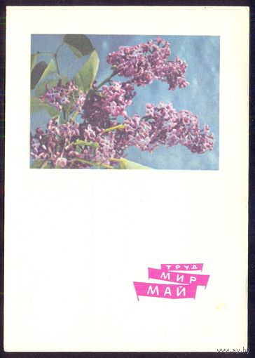 СССР ДМПК 1966 труд мир май сирень /прошла почту/