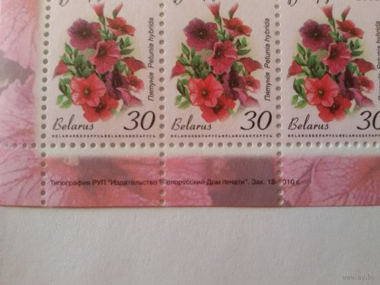Двенадцатый стандарт. 30 р. Зак. 18-2010. Нижняя сцепка (А024)