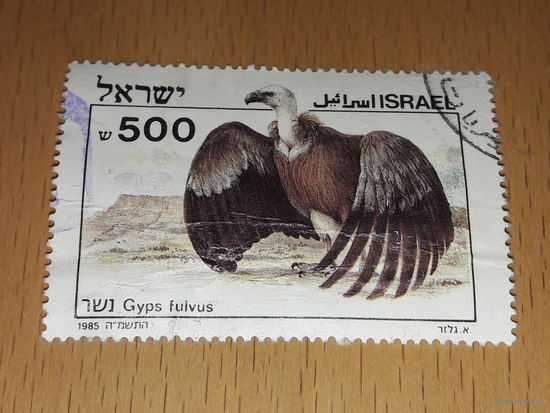 Израиль 1985 Фауна. Библейские птицы. Белоголовый сип