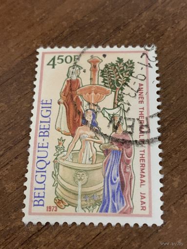 Бельгия 1973. New daily stamps. Полная серия