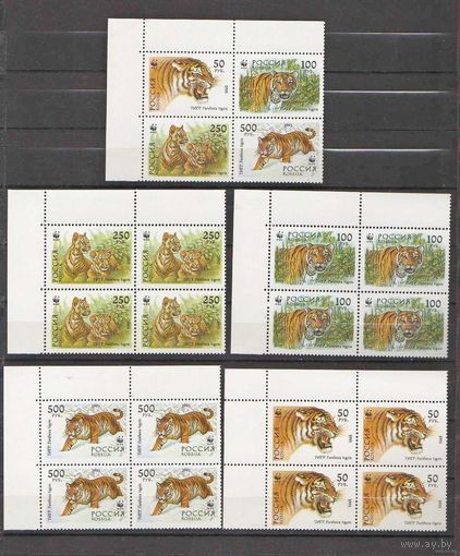 Россия.1993, 25 ноября. Уссурийский тигр .КОМПЛЕКТ** В КВАРТБЛОКАХ !