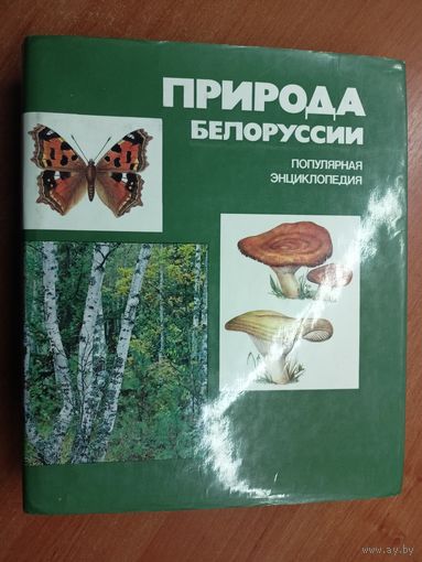 Популярная энциклопедия "Природа Белоруссии"