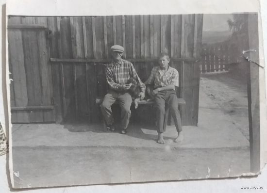 Фото в коллекцию