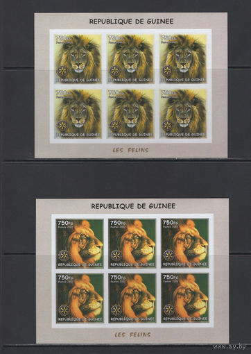 Фауна Кошки Гвинея 2002** Хищные кошки Львы Малые листы 2 шт Без перфорации