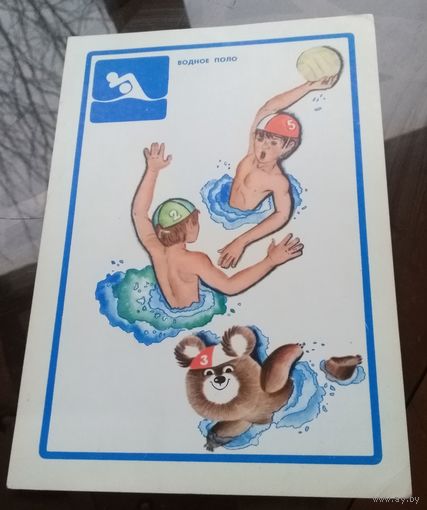 Водное поло Олимпийский медведь