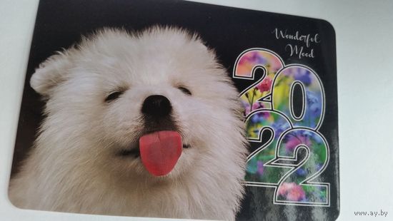 Календарик 2022 год. Белый пес.