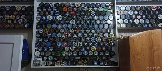 Шайбы хоккей 380 шт