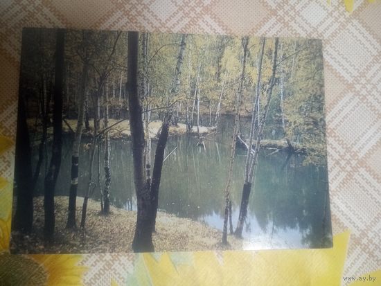 Открытка. Осень. Фото Ю. Буркина. 1989 год.
