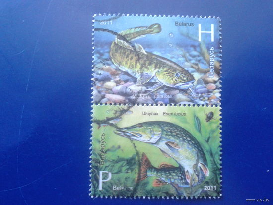 2011 Рыбы, сцепка