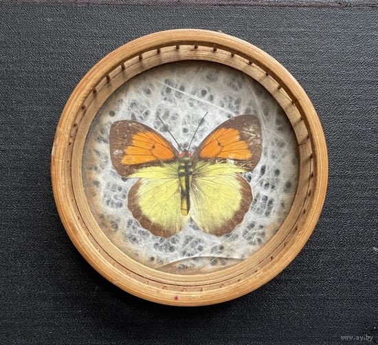 Бабочка. Винтаж декор подставка из бамбука и стекла / Высота: 2 см. Диаметр: 8,7 см.
