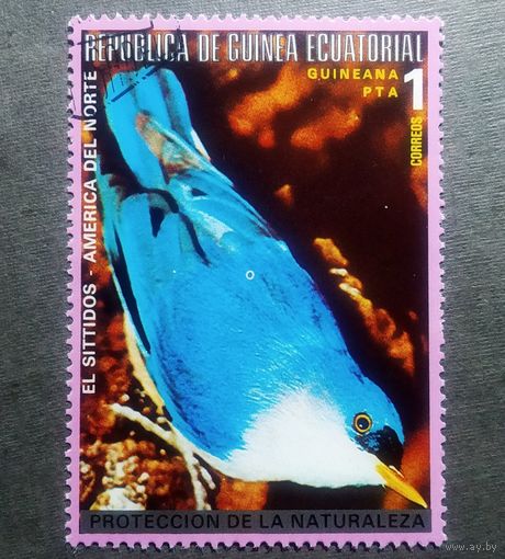 Марка Экваториальная Гвинея 1976 год Птицы