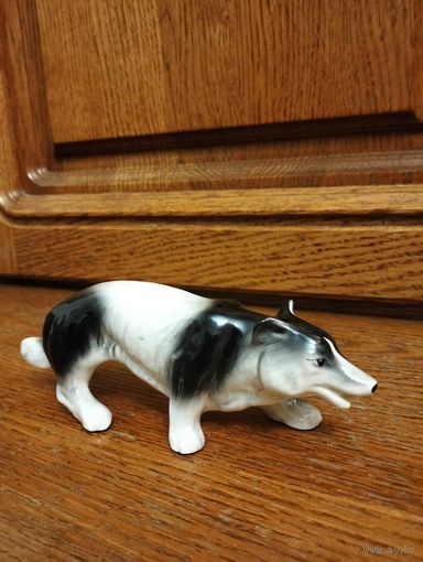 Волк. Англия.